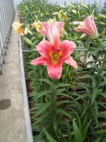 [1736 Gluhwein No02.JPG]